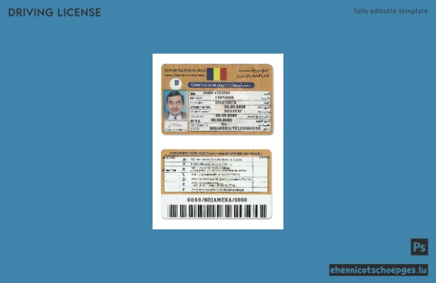 Beispiel für einen Führerschein der Republik Tschad